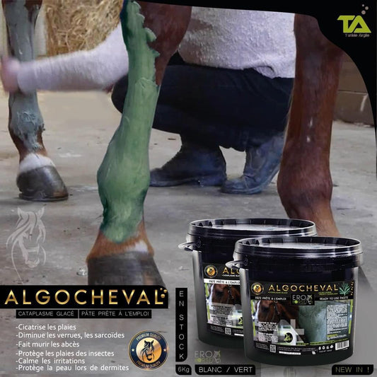 ALGOCHEVAL – Cataplasme glacé pour chevaux – 1 kg