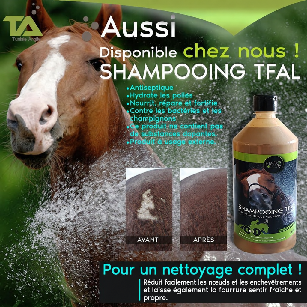 Shampoing TFAL pour chevaux, visuel sans l’encadré de création d’identité visuelle.